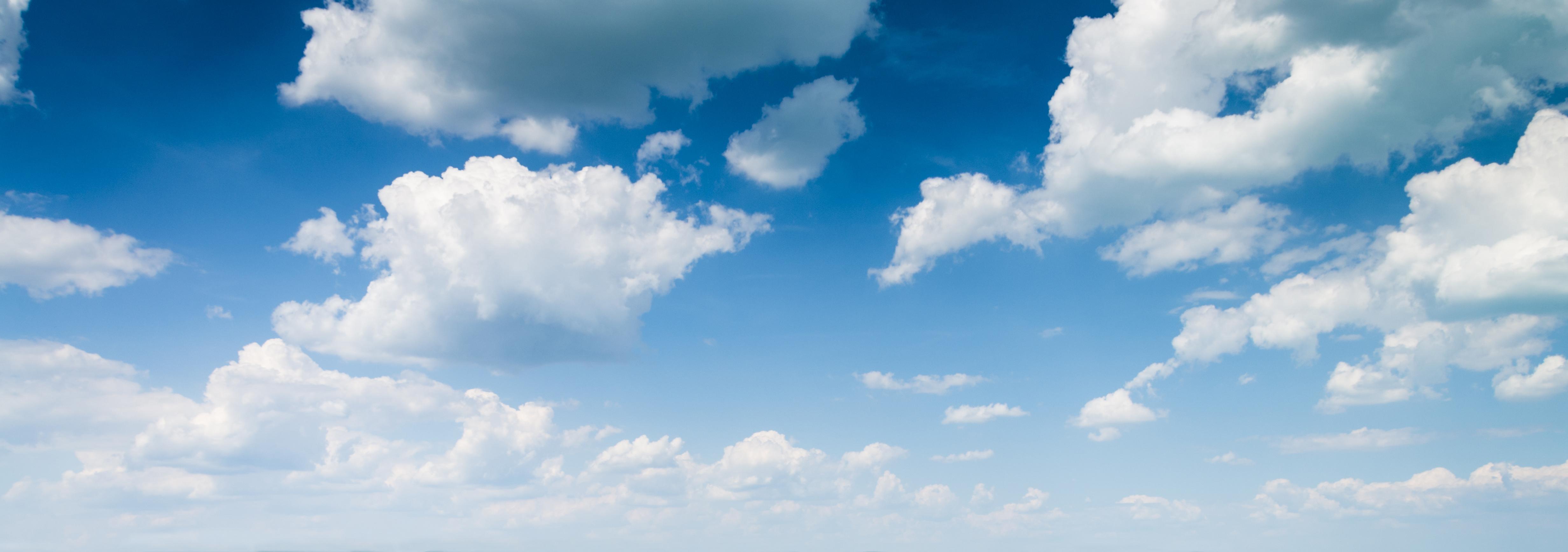 Public profile header image