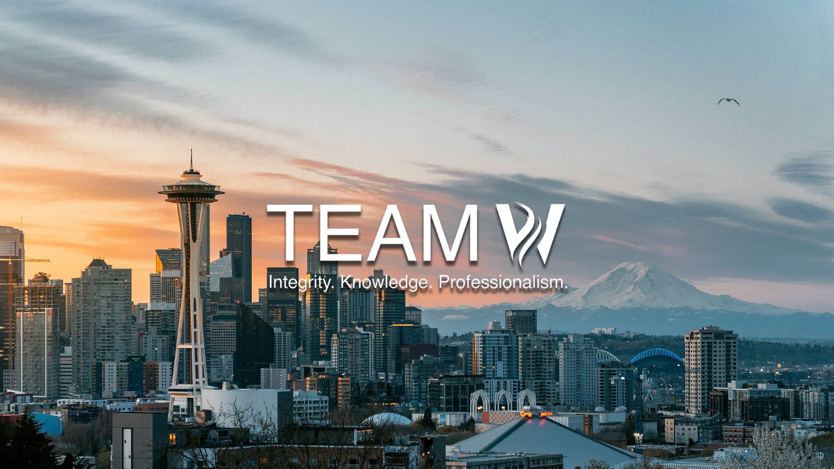 Public profile header image