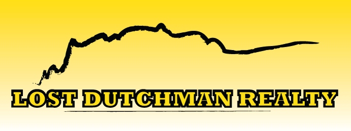 Public profile header image