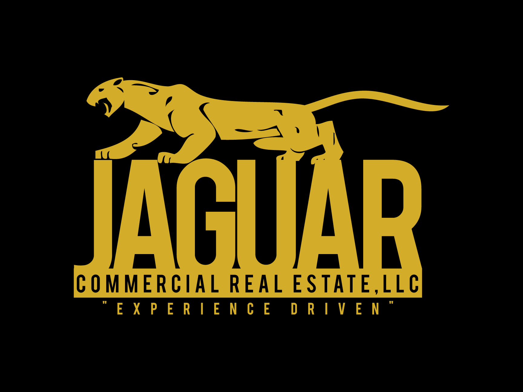 Public profile header image