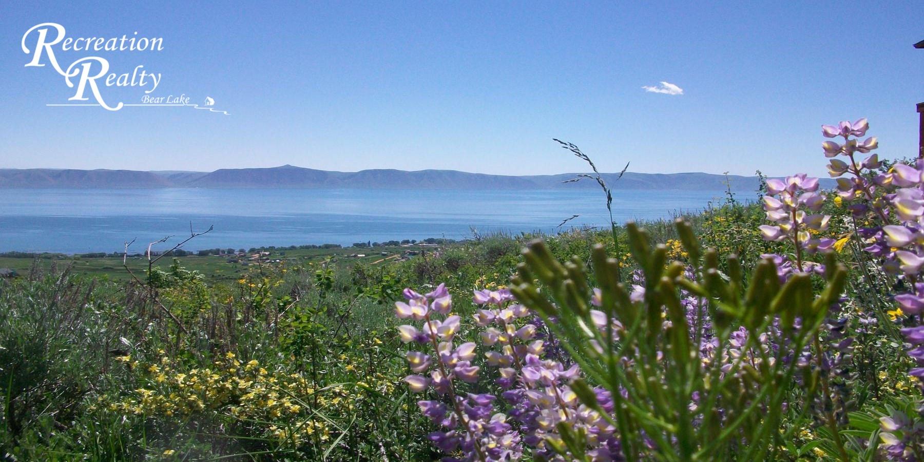 Public profile header image