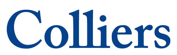 Public profile header image