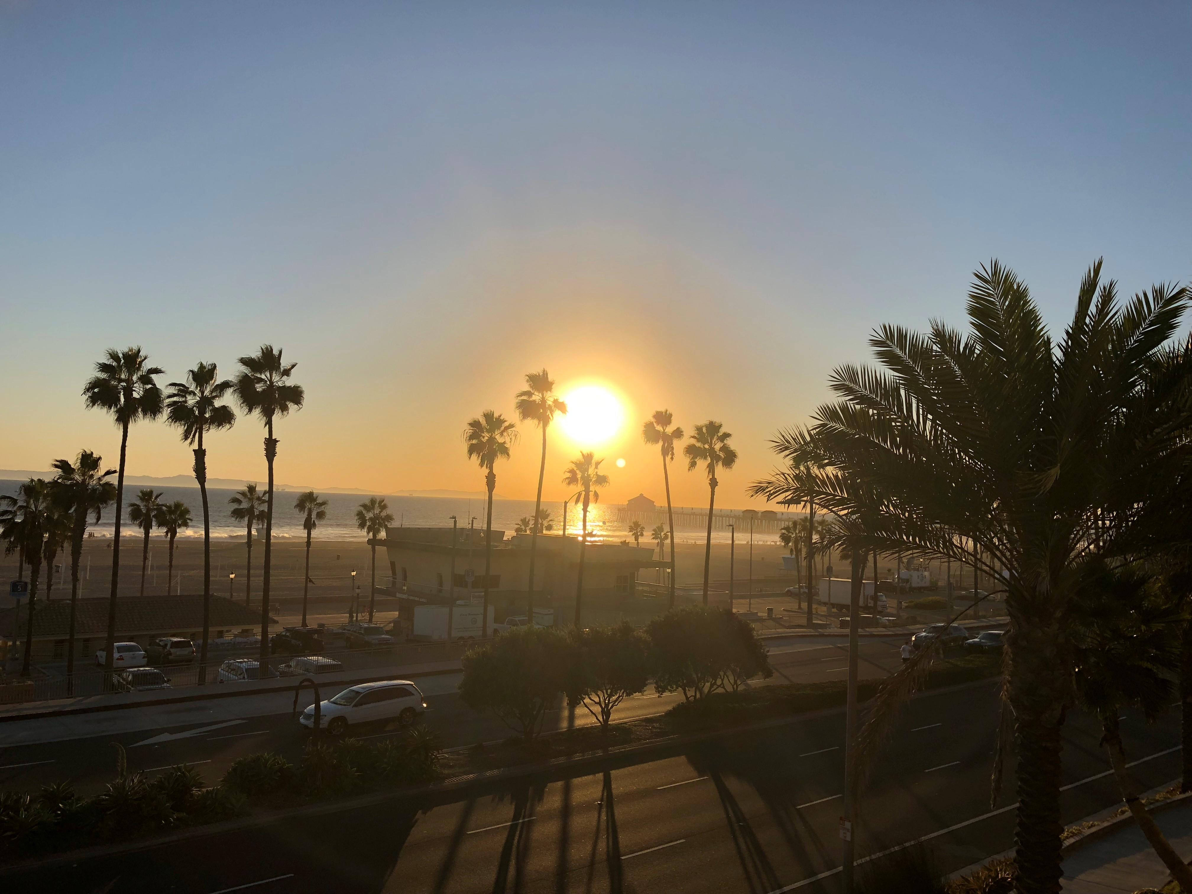 Public profile header image