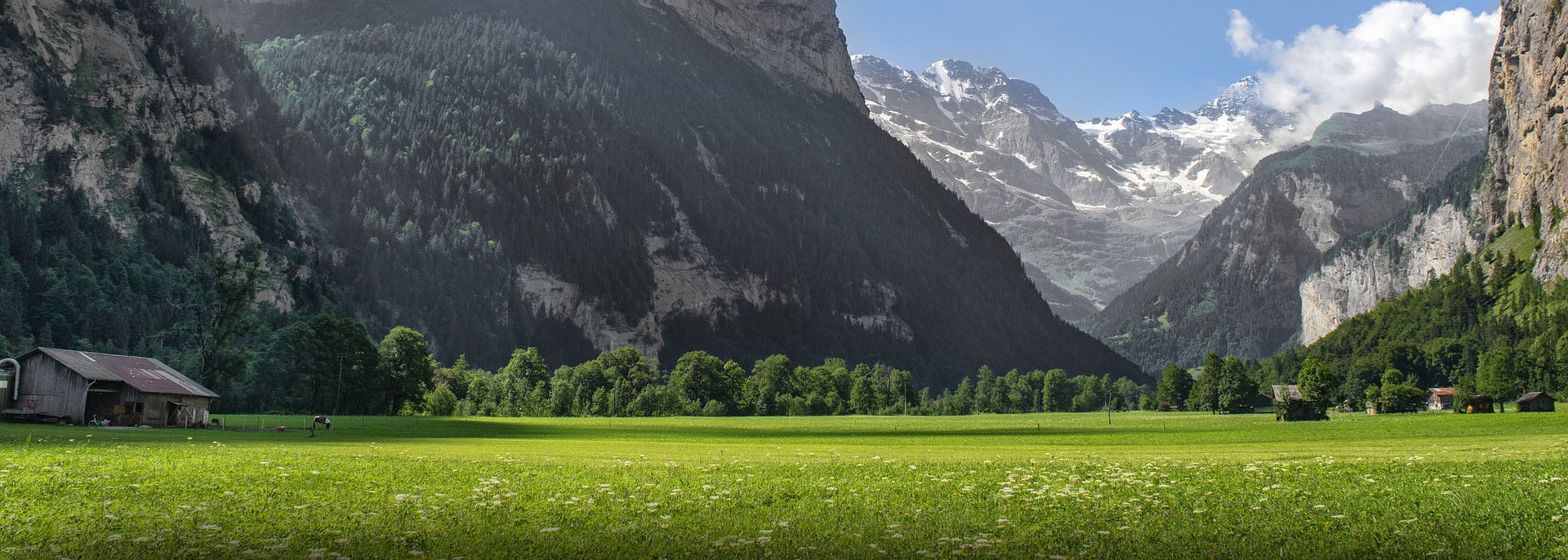 Public profile header image