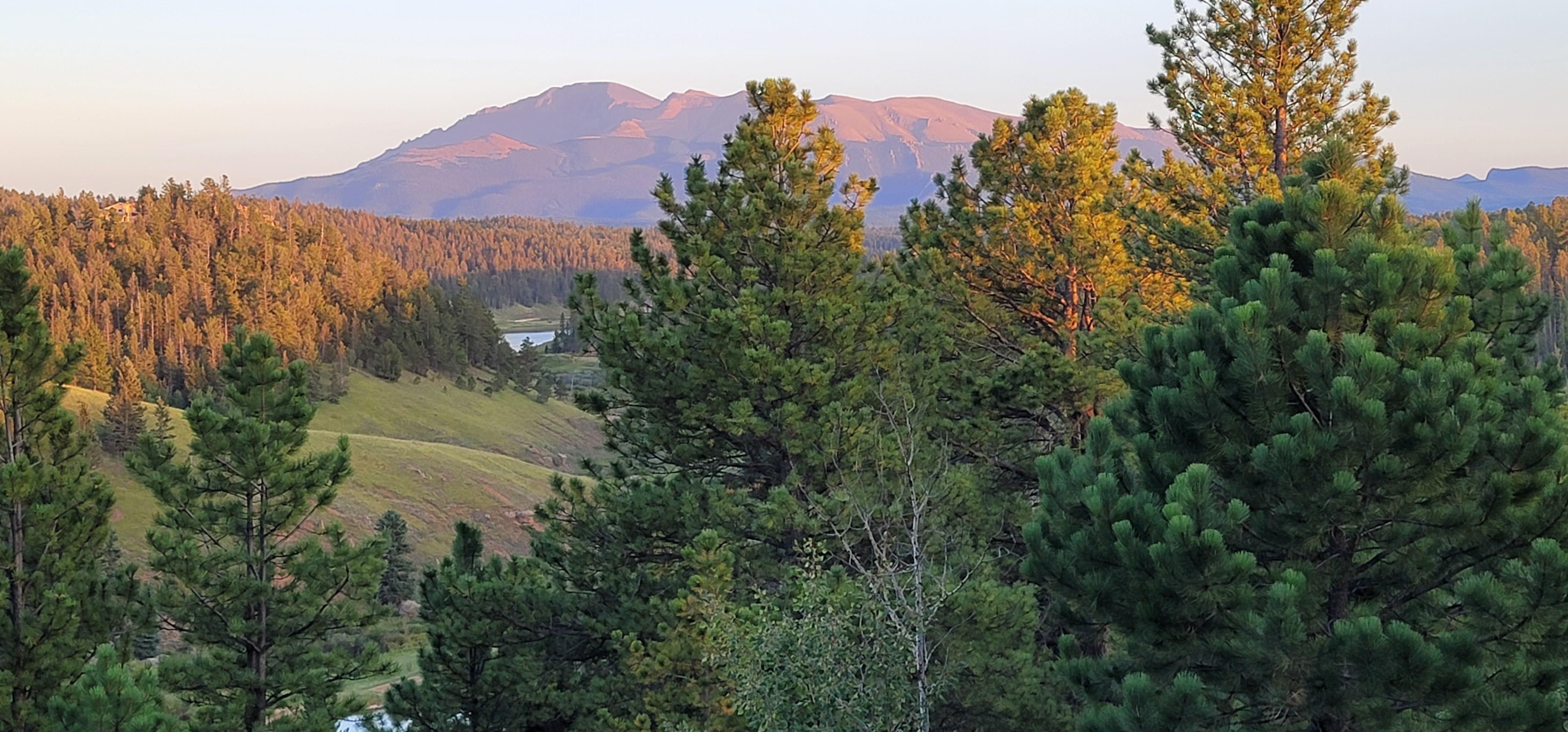 Public profile header image