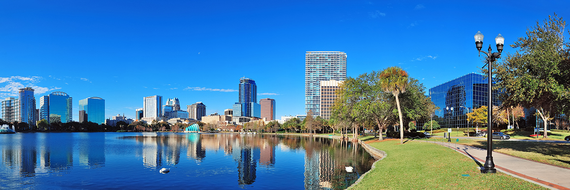 Public profile header image