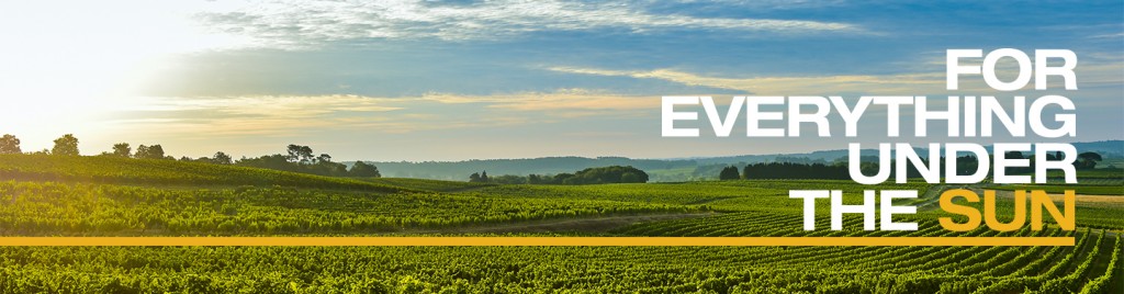 Public profile header image