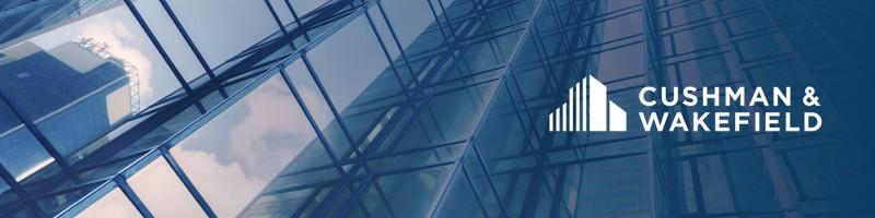 Public profile header image