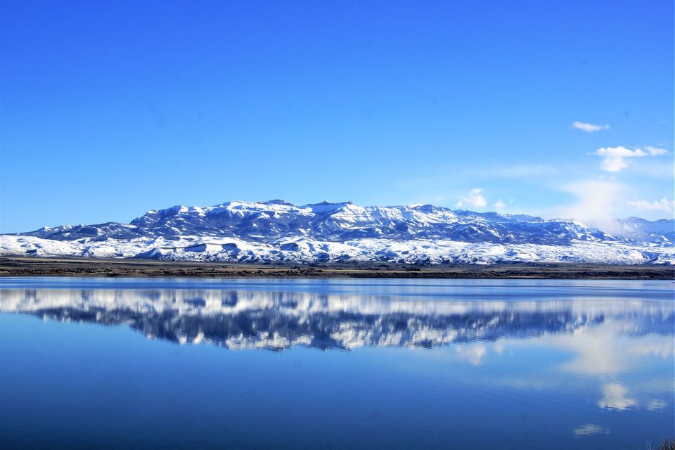 Public profile header image
