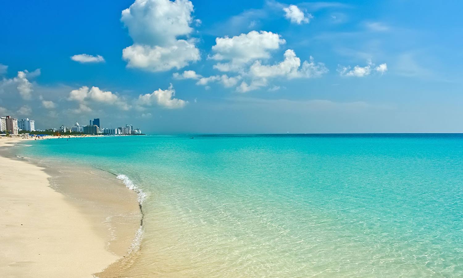 Public profile header image