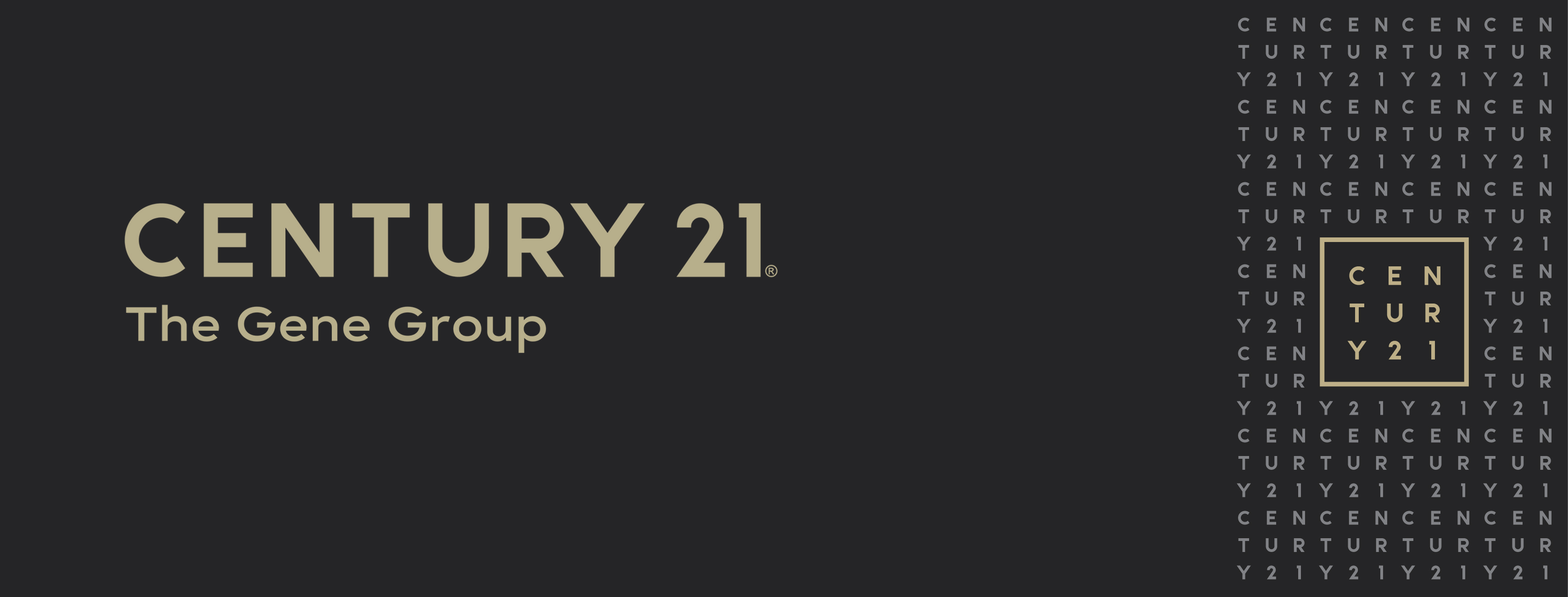 Public profile header image