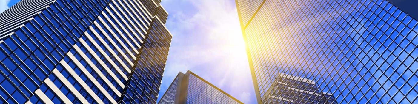 Public profile header image