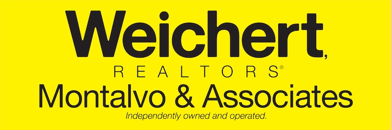 Public profile header image
