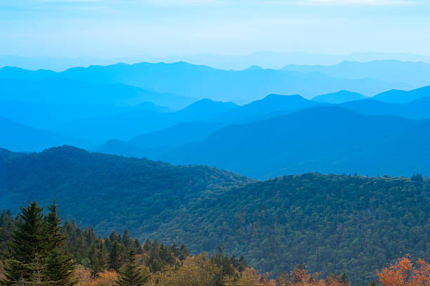 Public profile header image