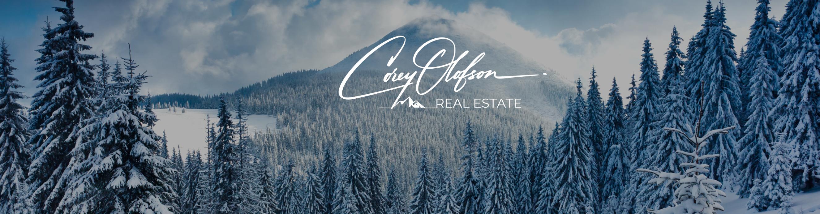 Public profile header image