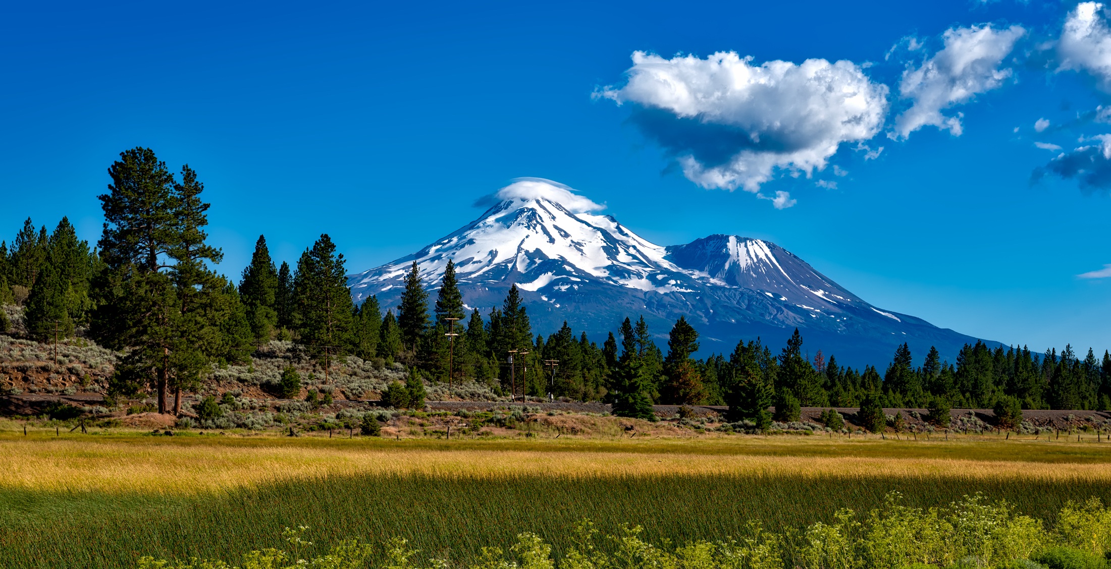Public profile header image