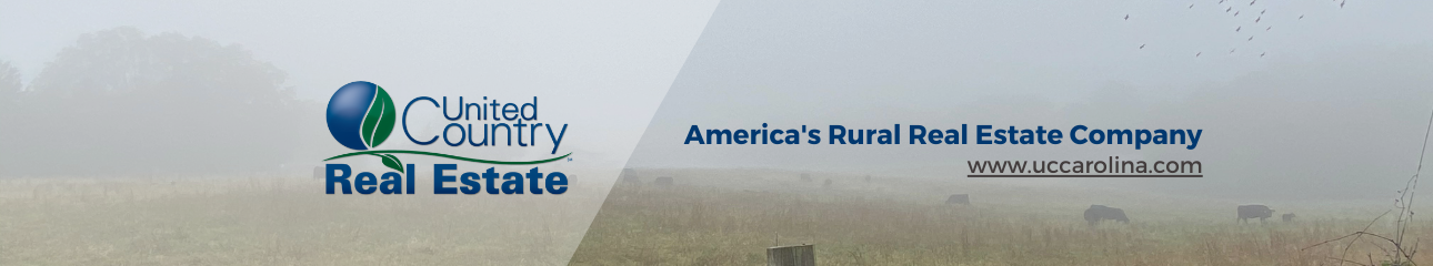 Public profile header image