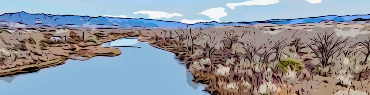 Public profile header image