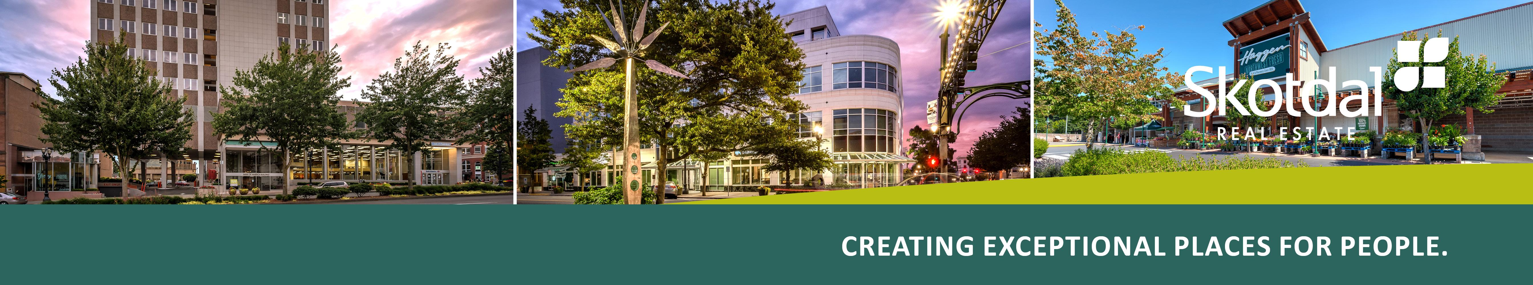 Public profile header image