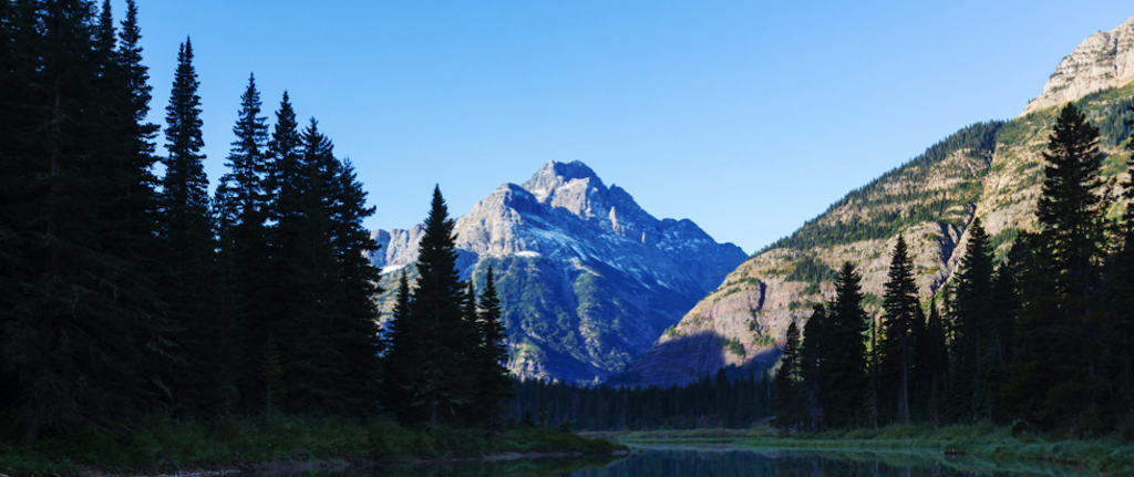 Public profile header image