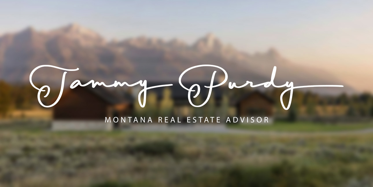 Public profile header image