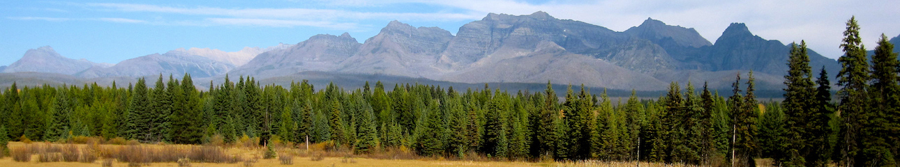 Public profile header image