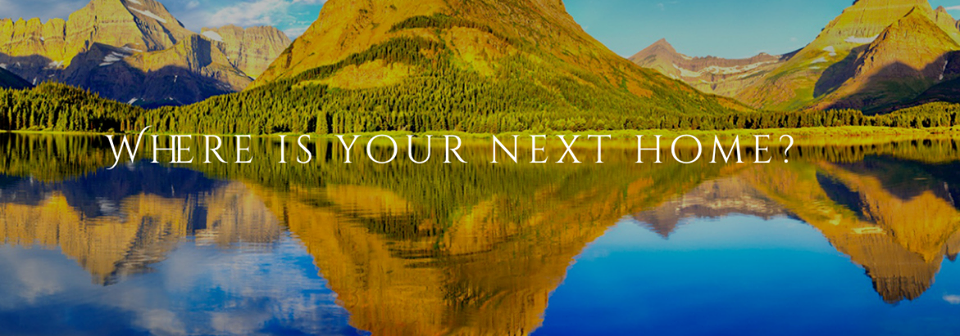 Public profile header image