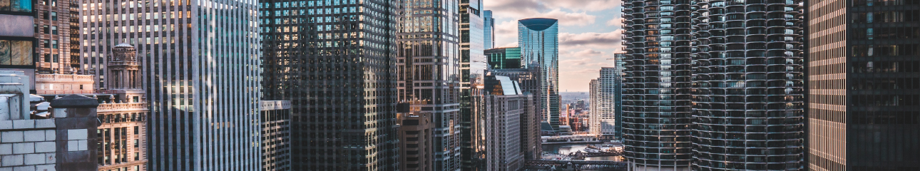 Public profile header image