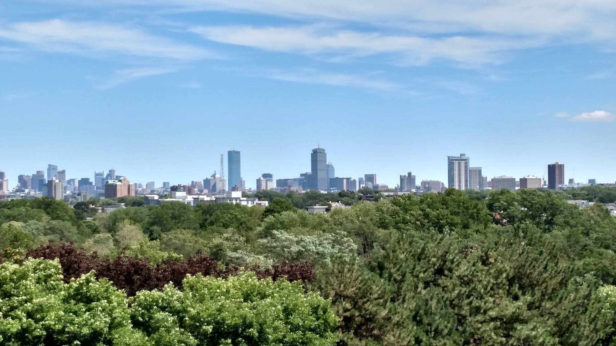 Public profile header image