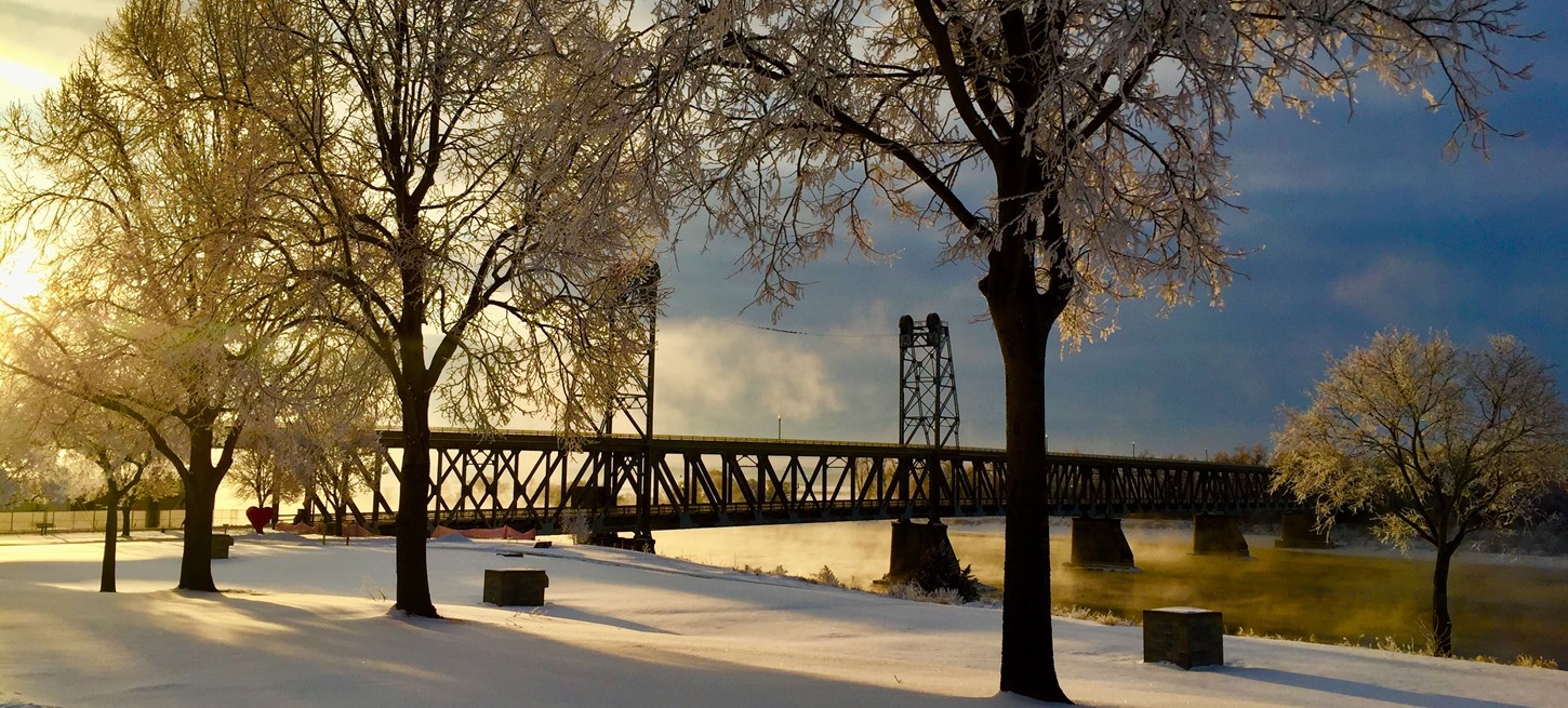 Public profile header image