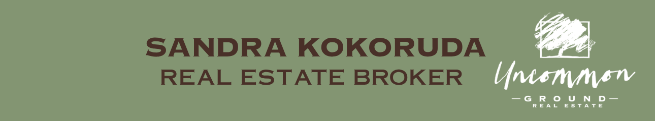 Public profile header image