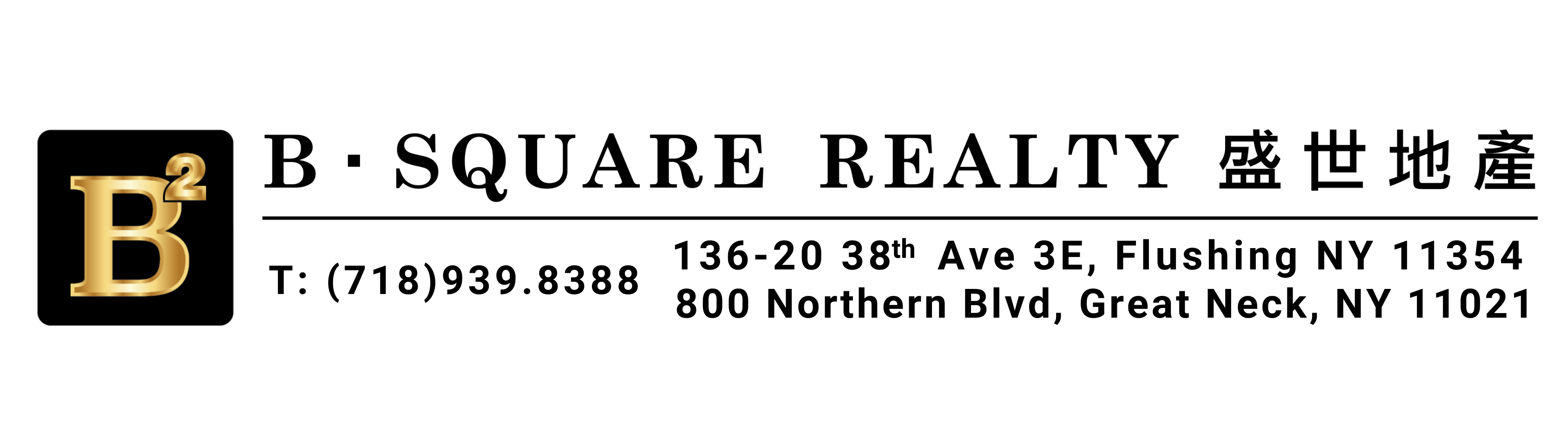 Public profile header image
