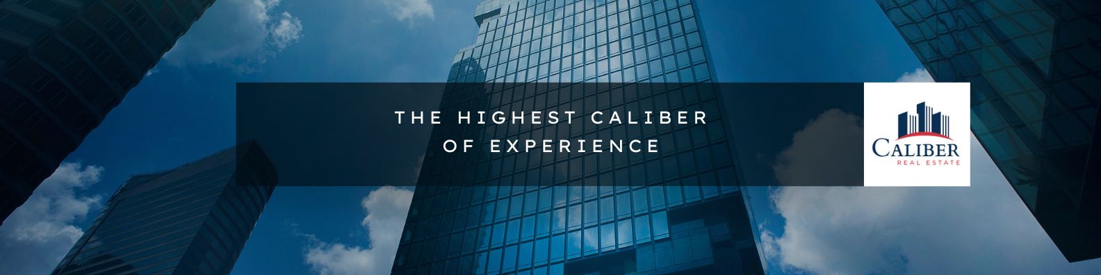 Public profile header image