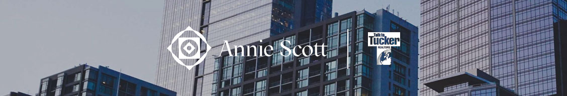 Public profile header image