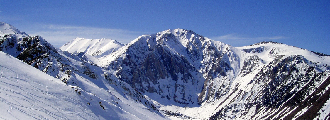Public profile header image