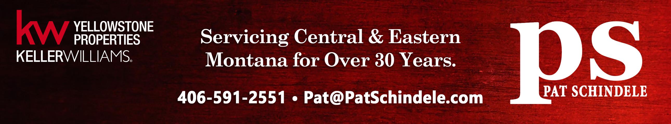Public profile header image