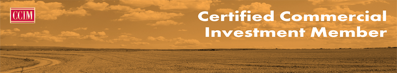 Public profile header image