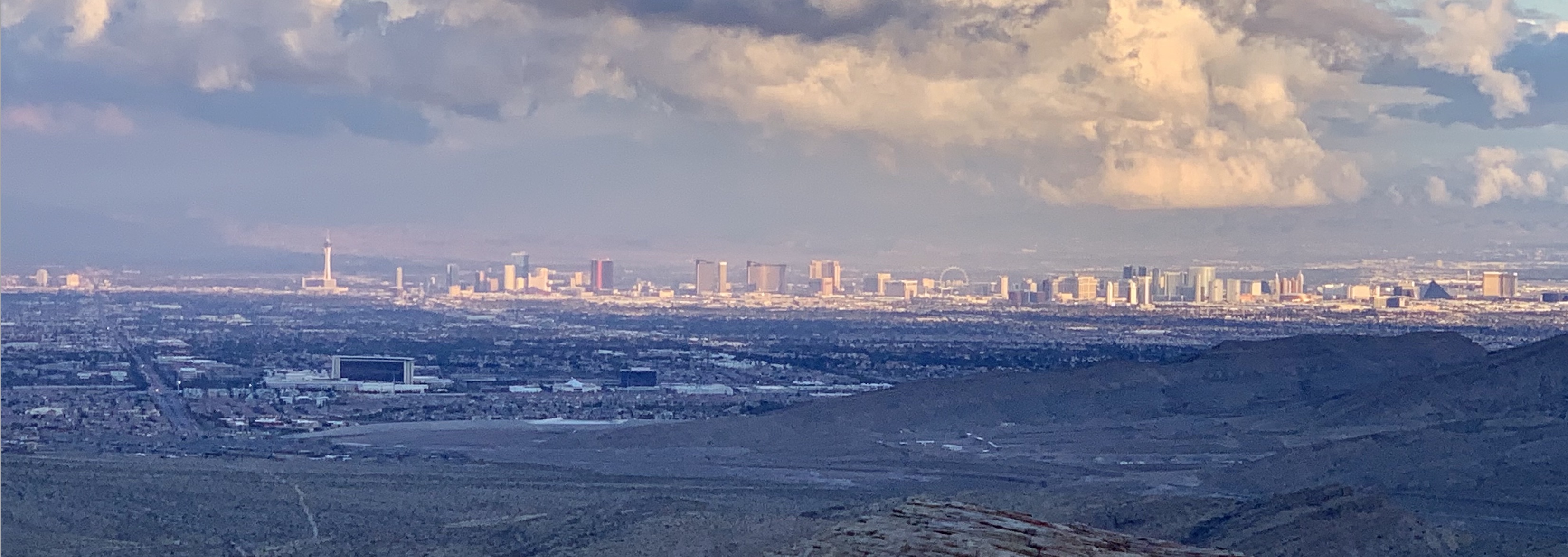 Public profile header image