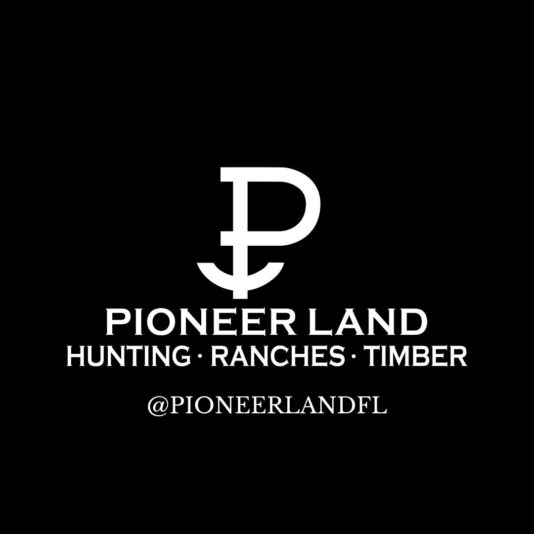 Public profile header image