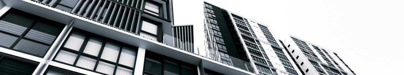 Public profile header image