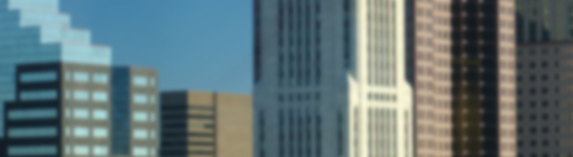 Public profile header image