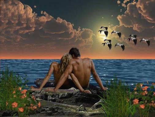 Public profile header image