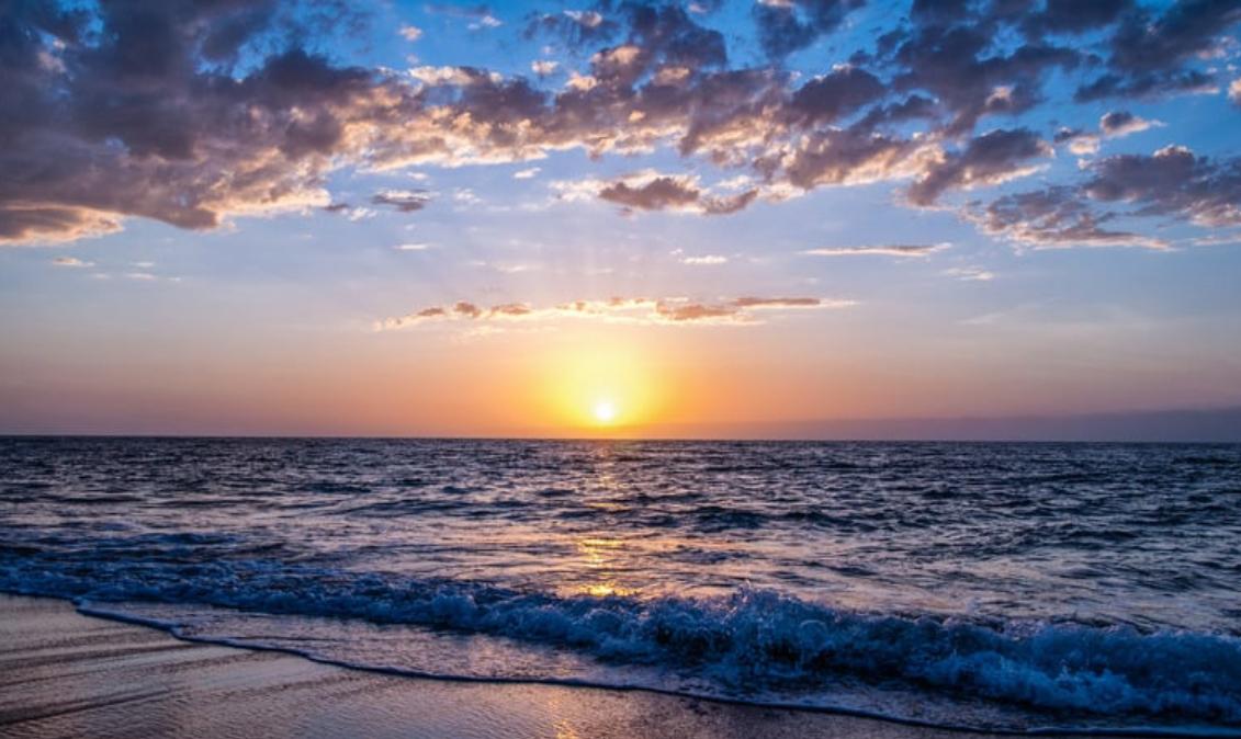 Public profile header image