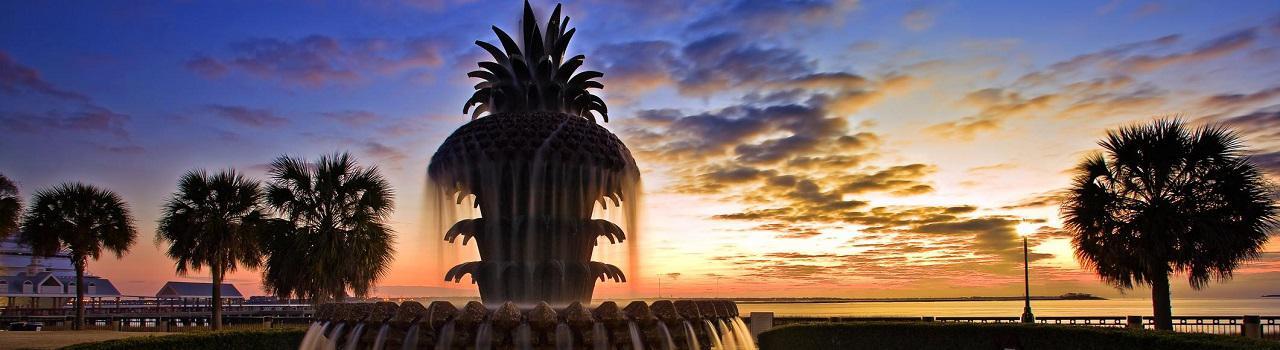 Public profile header image