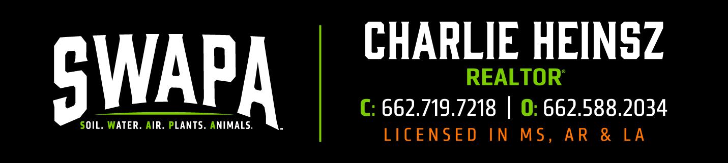 Public profile header image