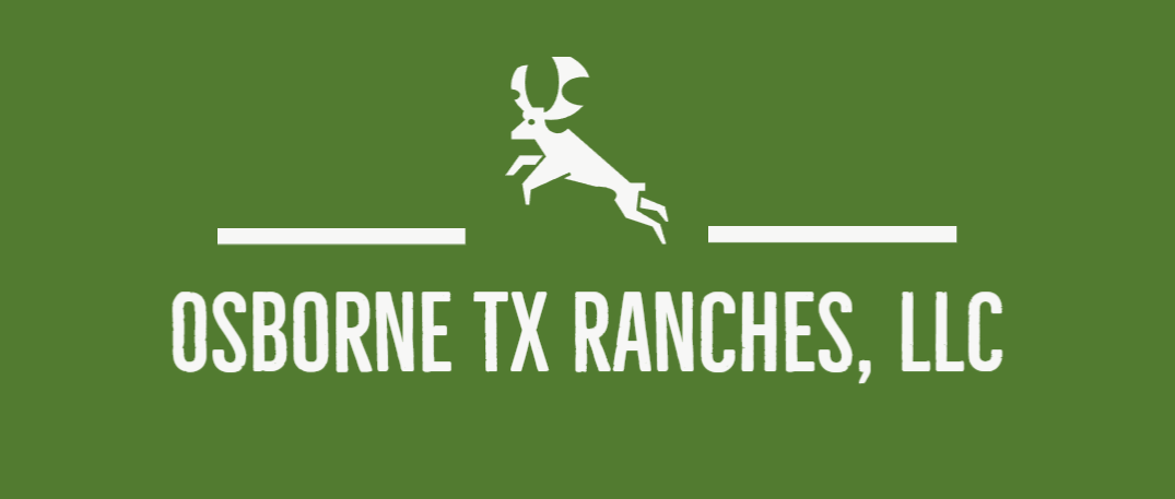 Public profile header image