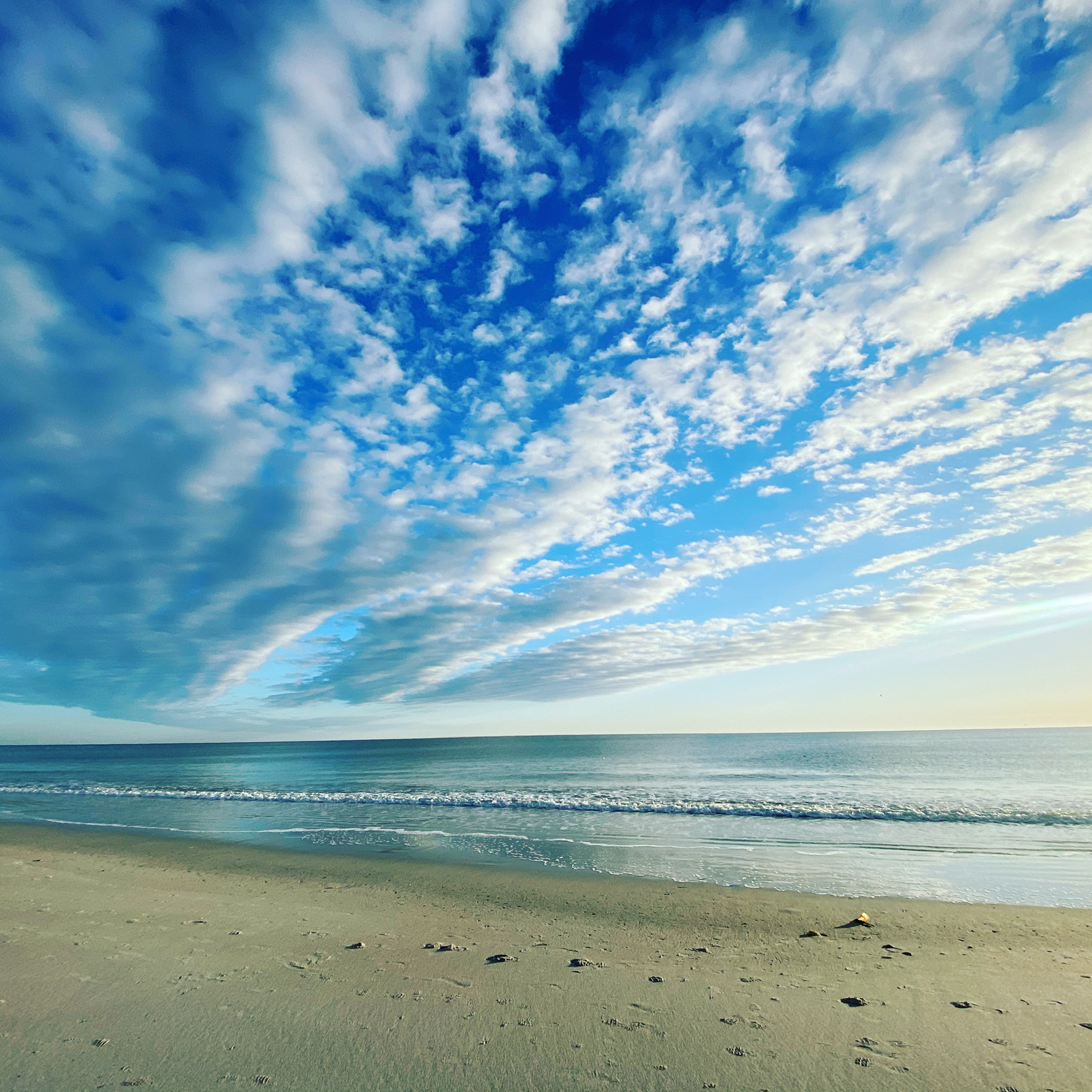 Carmen Mantay Blue Key Properties Crexi