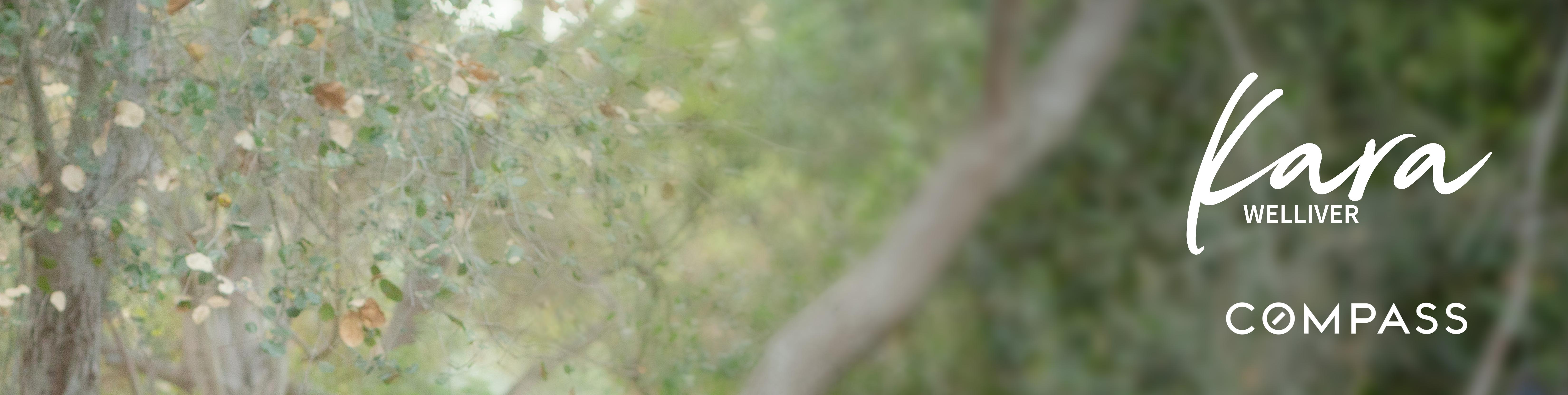 Public profile header image