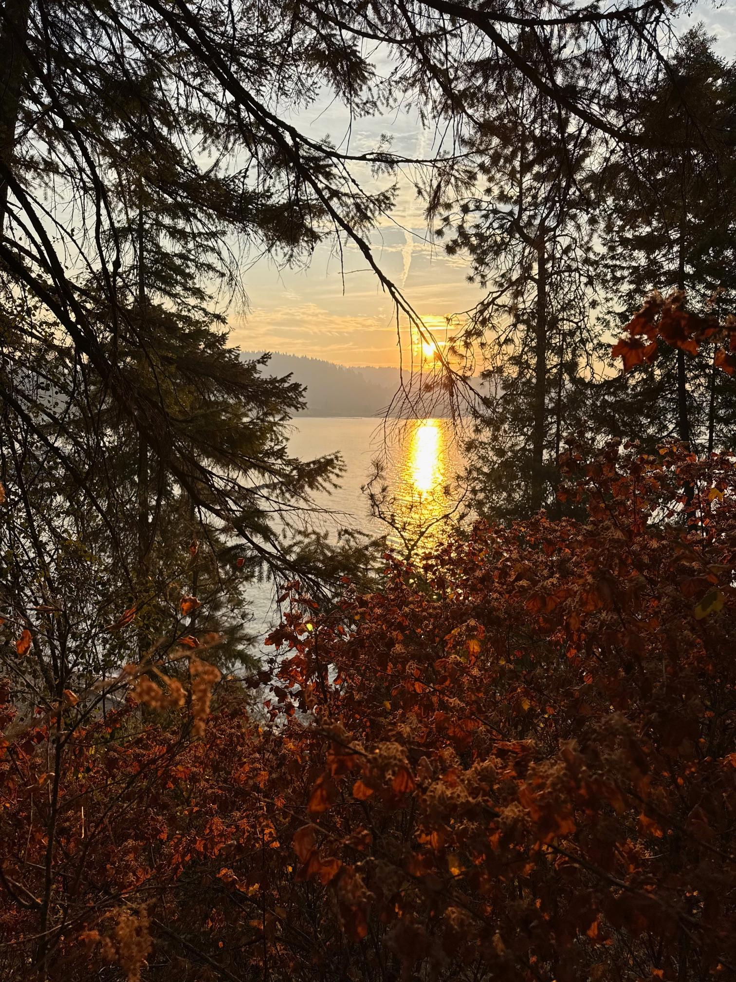 Public profile header image