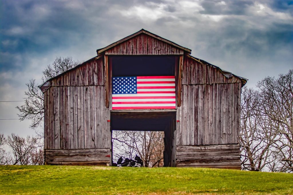 Public profile header image